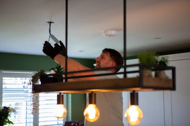Best Electrical Repair Services  in Cary, IL